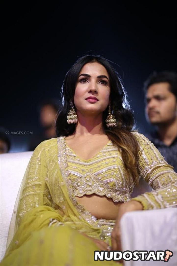 Sonal Chauhan Leaked Photo 39