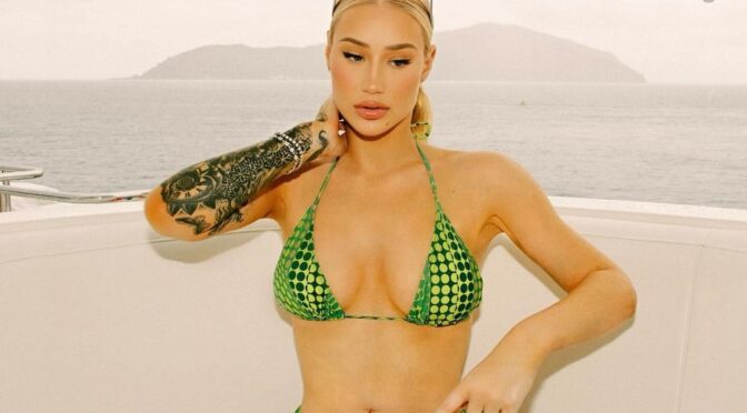 Iggy Azalea Shows Off Her Sexy Bikini Body (3 Photos)