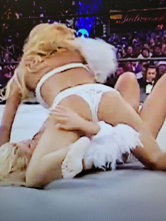 WWE Torrie Wilson Nude Leaks OnlyFans Photo 20