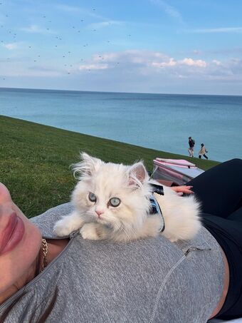 Alexandra_xoxo Nude Leaks OnlyFans Photo 10