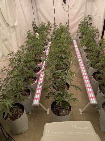 Dani Speegle Nude Leaks OnlyFans Photo 12