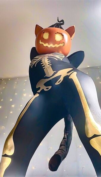 Rookies_othersm Nude Leaks OnlyFans Photo 70