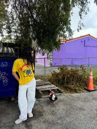 Sol Rodriguez Nude Leaks OnlyFans Photo 58