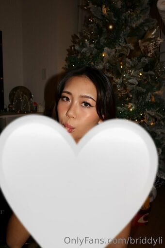 Briddy Li Nude Leaks OnlyFans Photo 17