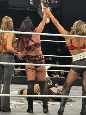 Fallon Henley (WWE) Nude Leaks OnlyFans Photo 20