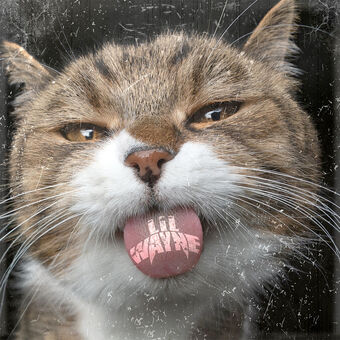 Kat Snack Nude Leaks OnlyFans  – Leaked Models