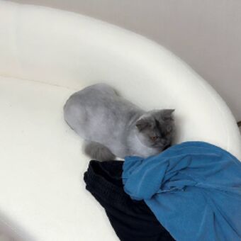 Parkhaag Nude Leaks OnlyFans Photo 26