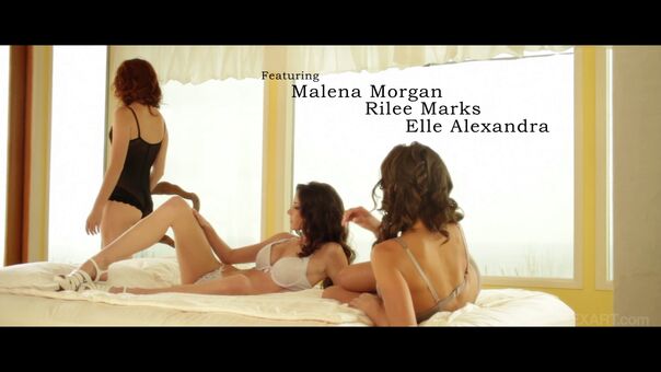 SexArt.com Nude Leaks OnlyFans Photo 221