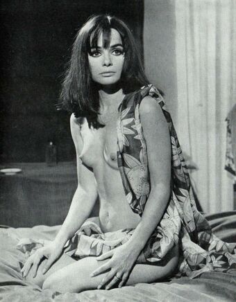 Vintage Starlets Nude Leaks OnlyFans Photo 1500