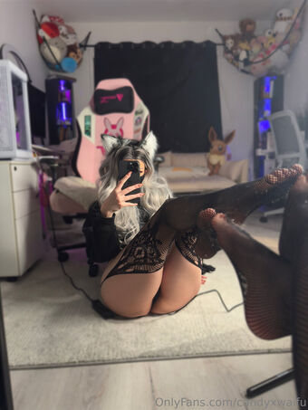 candyxwaifu Nude Leaks OnlyFans Photo 13