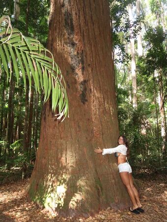 isabella.Lauren Nude Leaks OnlyFans Photo 200