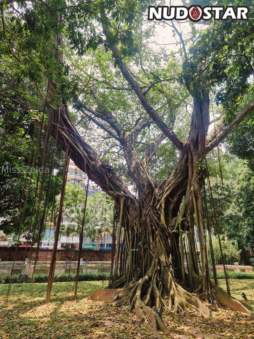 Miss_Zelda Leaked Photo 1