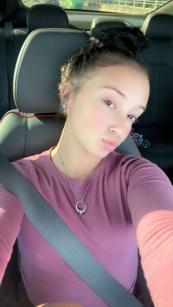 Nichole Lerman Nude Leaks OnlyFans Photo 2