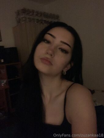 Zuzinkaa Nude Leaks OnlyFans Photo 3