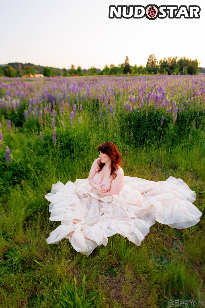 Beayork Leaked Photo 15