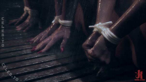 Phoenix Marie Nude Leaks OnlyFans Photo 688