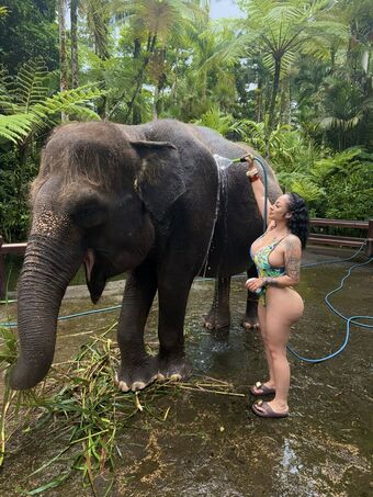 suleeeeey Nude Leaks OnlyFans Photo 2