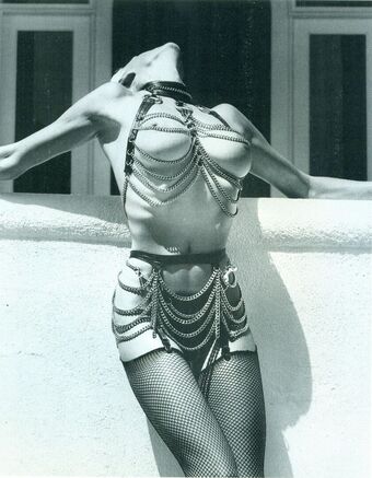 Brigitte Nielsen Nude Leaks OnlyFans Photo 27